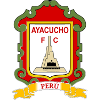 秘鲁体育大学